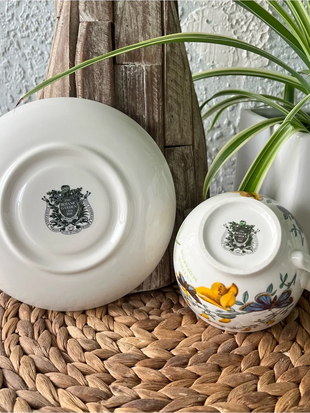 Portmeirion Botanic Garden cup and saucer SET Cytisus Scoparius / Broom